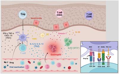 Advances in understanding of the pathogenesis and therapeutic implications of drug reaction with eosinophilia and systemic symptoms: an updated review